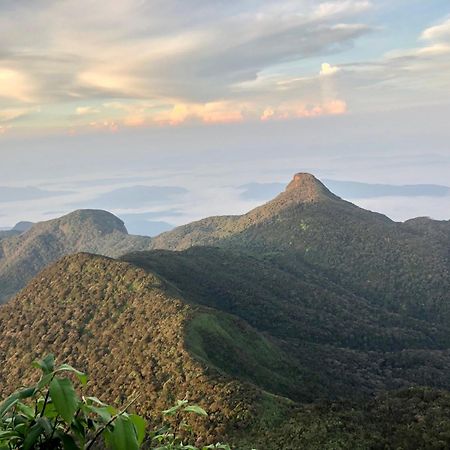 Hotel Mango Tree Nearest Adam'S Peak Nallathanniya Dış mekan fotoğraf