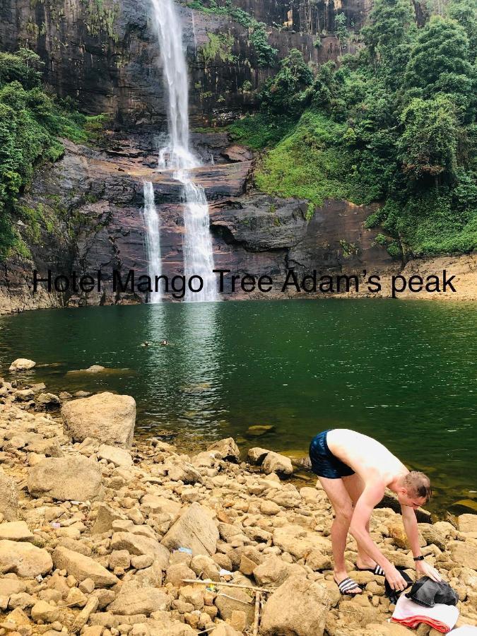 Hotel Mango Tree Nearest Adam'S Peak Nallathanniya Dış mekan fotoğraf