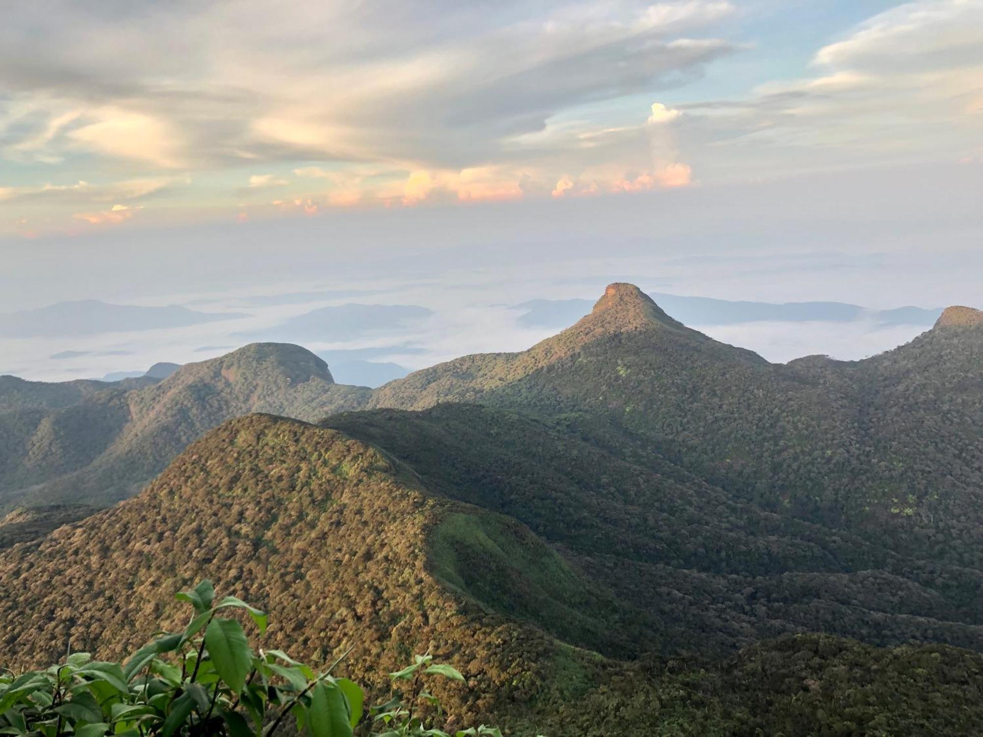 Hotel Mango Tree Nearest Adam'S Peak Nallathanniya Dış mekan fotoğraf