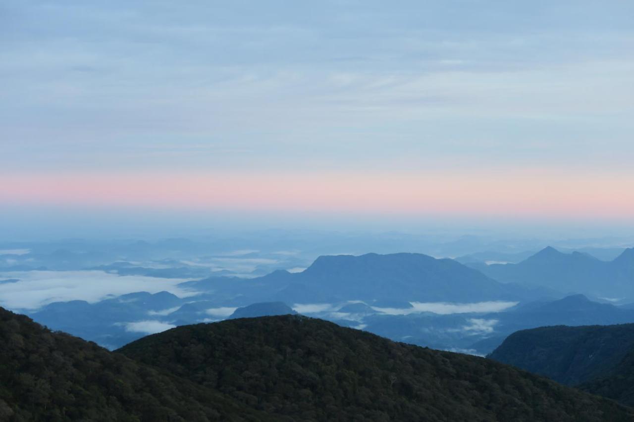 Hotel Mango Tree Nearest Adam'S Peak Nallathanniya Dış mekan fotoğraf